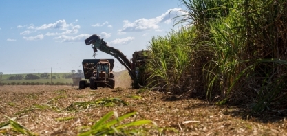 Tereos atinge mais de 60% de cana processada certificada