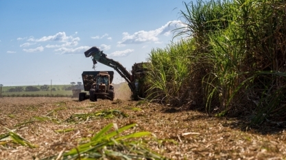 Tereos atinge mais de 60% de cana processada certificada