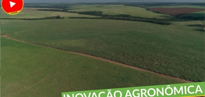 Inovação agronômica é pauta de sala temática do Maior Congresso Técnico de Bioenergia do Mundo