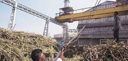 Açúcar: preços podem aumentar “consideravelmente” se Índia proibir exportação, analisa banco