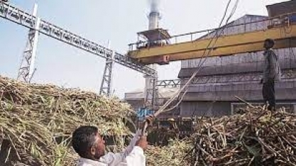 Açúcar: preços podem aumentar “consideravelmente” se Índia proibir exportação, analisa banco