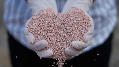 Atlas Agro sonda mercado de energia renovável para planta de nitrogenado verde no Brasil