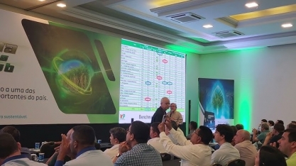 Porque fazer adubação no sulco de plantio da cana