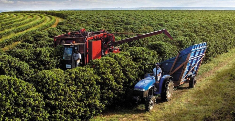 Número de trabalhadores do setor representa 27% do País | Crédito: Arquivo/Diário do Comércio