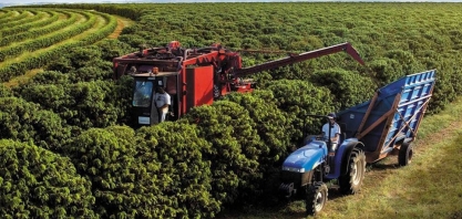 Agro emprega 28,1 milhões de trabalhadores no primeiro trimestre do ano