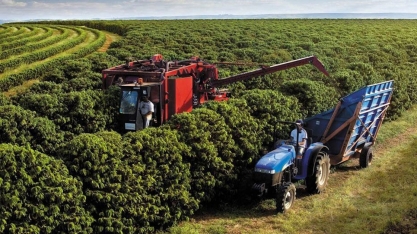 Agro emprega 28,1 milhões de trabalhadores no primeiro trimestre do ano