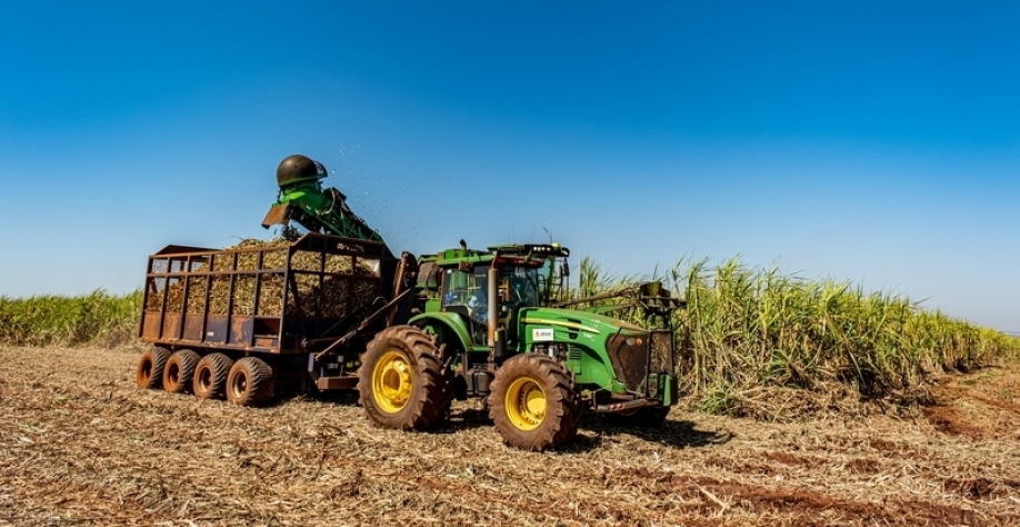 Crédito - Divulgação 