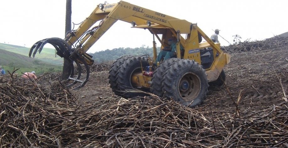 Safra 23/24 - Foto: Assessoria