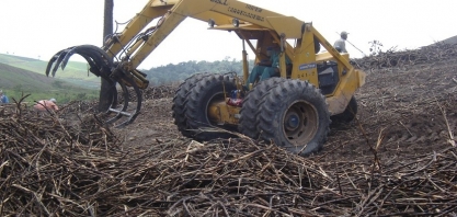 Safra 23/24 começa em Alagoas