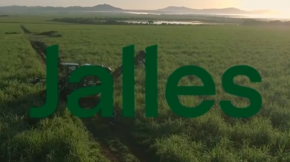 Jalles é destaque no Canal 