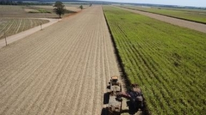 Moagem em Minas Gerais bate recorde histórico e se aproxima de 40 milhões de toneladas
