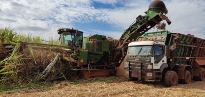 Realidade, colheita de duas linhas simultâneas leva canaviais a um novo patamar produtivo