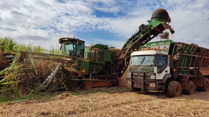Realidade, colheita de duas linhas simultâneas leva canaviais a um novo patamar produtivo