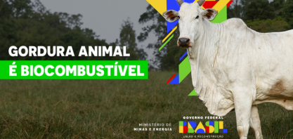 Gordura animal é opção de baixo carbono para a produção de biodiesel