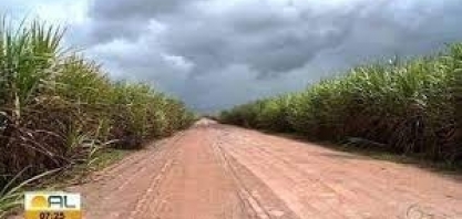 Começa nesta segunda-feira a moagem de Cana-de-Açúcar em Alagoas 
