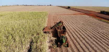 El Niño deixa canaviais mais úmidos e verdes e canavicultor deve investir no manejo com maturadores e herbicidas  