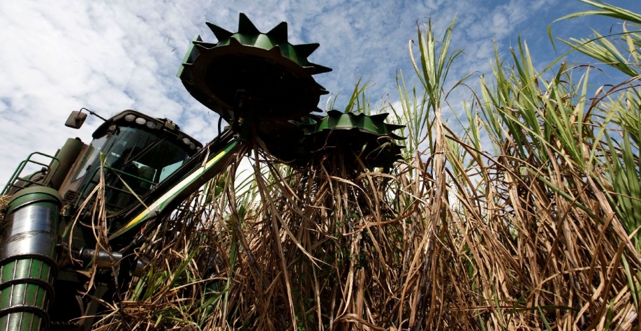 Dados da associação Abiogás que estimam que 90% do potencial de biogás no Brasil está associado ao agro. Nacho Doce/Reuters