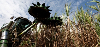 Agro do Brasil tem potencial inexplorado para biogás em grande escala