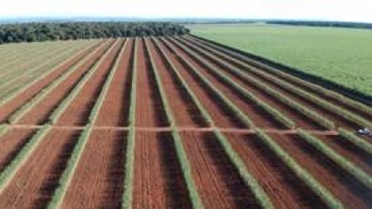 Empresas consolidam importante parceria para investigar a biologia do solo