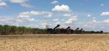 Moagem no Centro-Sul bate recorde histórico e se aproxima de 53 milhões de toneladas