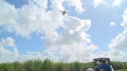 Tecnologias como uso de drones auxiliam na produção de cana-de-açúcar em Alagoas 