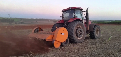 Vai renovar o canavial em área com Sphenophorus levis? O certo é utilizar um eliminador de soqueiras