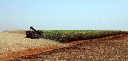 BP Bunge Bioenergia prevê aumentar moagem de cana em até 16% em 2023/24