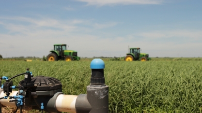 Gotejamento subterrâneo revoluciona produção de pastagem e rotação de cultivos