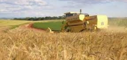 Passo Fundo terá 1ª Usina de Etanol em larga escala no Rio Grande do Sul 