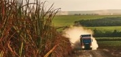 O mercado de bioenergia, o agronegócio brasileiro como o maior gerador de oportunidades de forma sustentável