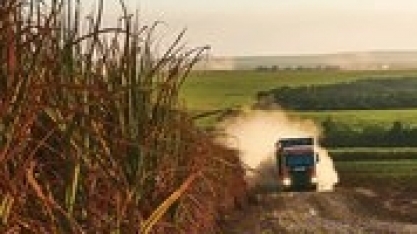 O mercado de bioenergia, o agronegócio brasileiro como o maior gerador de oportunidades de forma sustentável