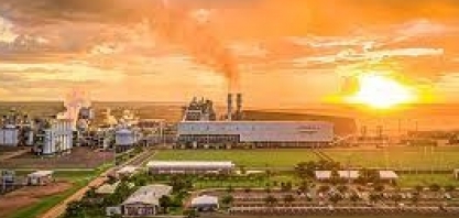 CMAA realizou Webinar de Apresentação de Resultados do 1º trimestre da Safra 2023/2024