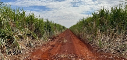 Empresa de produção de biocombustível e açúcar de MS prevê produção de 10 milhões de toneladas de moagem de cana na safra de 2023/24