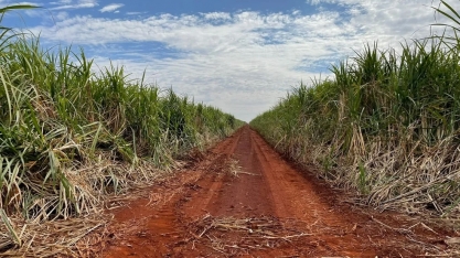 Empresa de produção de biocombustível e açúcar de MS prevê produção de 10 milhões de toneladas de moagem de cana na safra de 2023/24