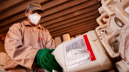 Dia Nacional do Campo Limpo mobiliza mais de 60 mil pessoas e ações resultam no plantio de mais de 180 mil árvores