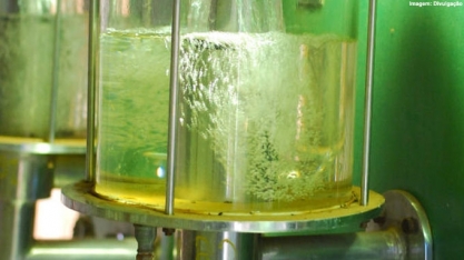 Stellantis aposta na combinação entre etanol e eletrificação com Bio-Hybrid