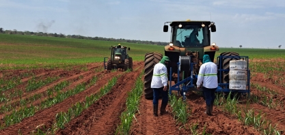 Mesmo em ano chuvoso, produtores devem investir em irrigação para não ficar reféns do clima