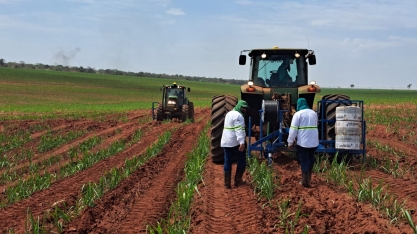 Mesmo em ano chuvoso, produtores devem investir em irrigação para não ficar reféns do clima