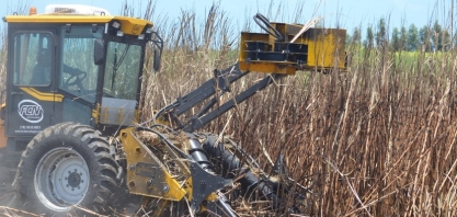 Sindaçúcar-AL: safra 23/24 conta com maioria das usinas em operação