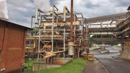 Pesquisadores chegam à fórmula do primeiro melaço sintético com composição totalmente reproduzível