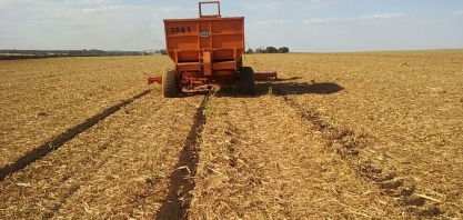 As formas básicas de utilização da torta de filtro como fertilizante orgânico