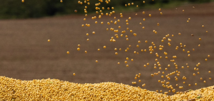 Volume de negociação de créditos de descarbonização (CBIOs) ultrapassa os R$ 8 bilhões