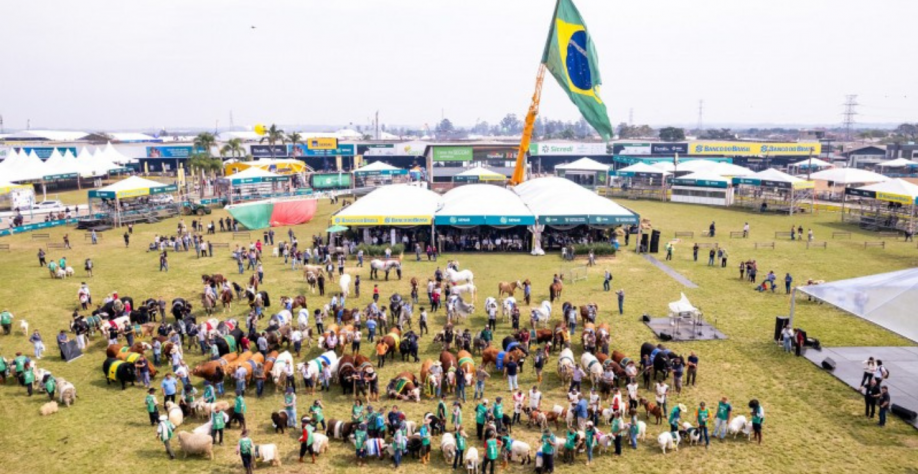 Rio Grande do Sul concentra cerca de 65% das indústrias de máquinas agrícolas e implementos usados pelo homem do campo no Brasil. (Foto: Divulgação/Expointer)
