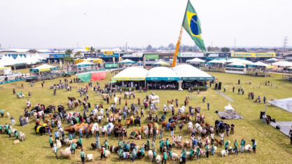 Expointer 2023 bate recorde com venda de máquinas e implementos agrícolas