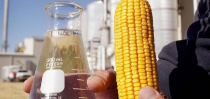 Por que a cooperativa Coamo vai investir R$ 5 bilhões nos próximos 5 anos