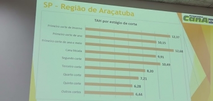 Como está a produtividade dos canaviais brasileiros