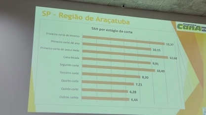 Como está a produtividade dos canaviais brasileiros