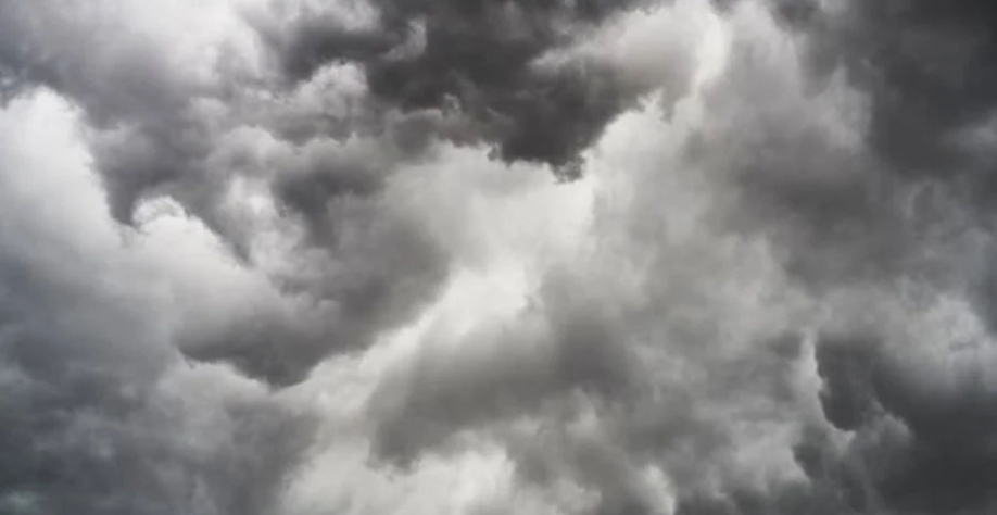 Foto: Freepik/reprodução