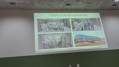 Como a Denusa saiu de 49 toneladas de cana por hectare (TCH) para mais de 100