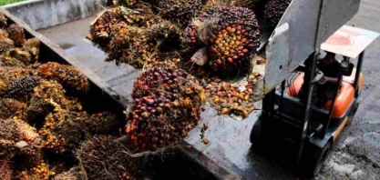 Índia deve ter queda de 6% nas importações de óleo vegetal na safra 2023/24